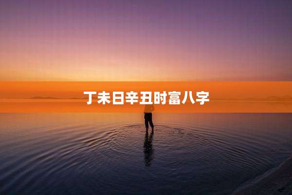 丁未日辛丑时富八字