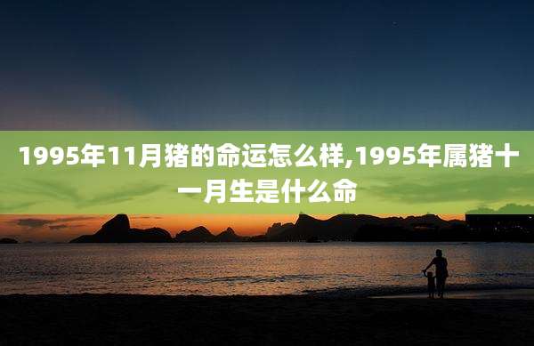 1995年11月猪的命运怎么样,1995年属猪十一月生是什么命