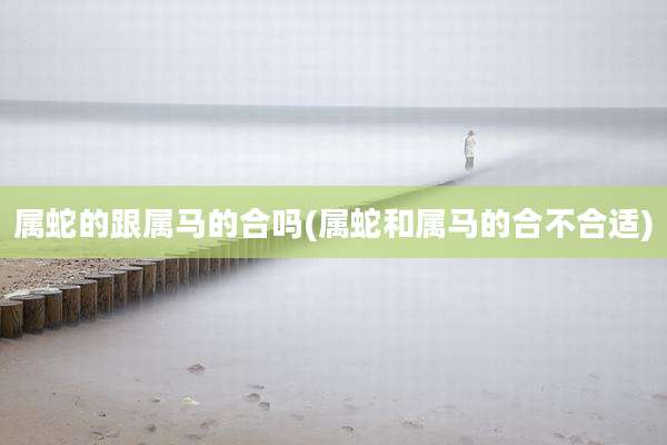 属蛇的跟属马的合吗(属蛇和属马的合不合适)