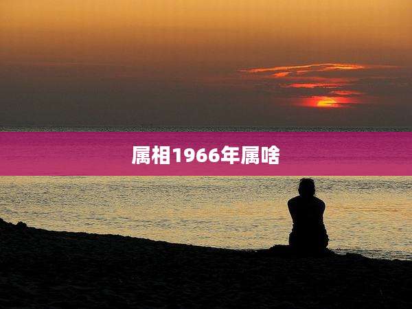 属相1966年属啥