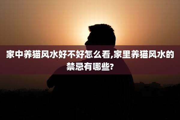 家中养猫风水好不好怎么看,家里养猫风水的禁忌有哪些?