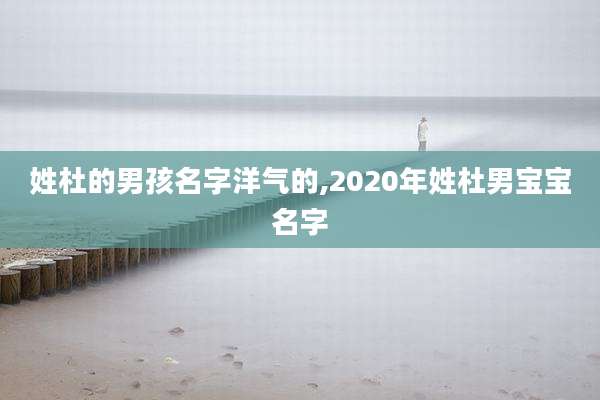 姓杜的男孩名字洋气的,2020年姓杜男宝宝名字