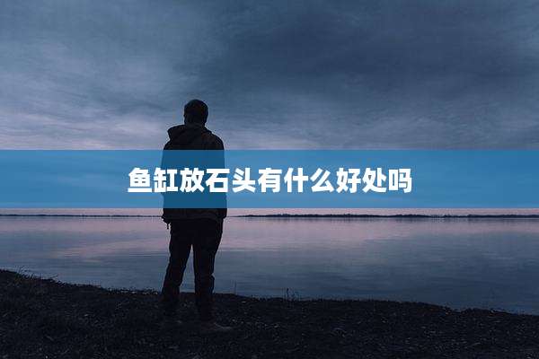 鱼缸放石头有什么好处吗