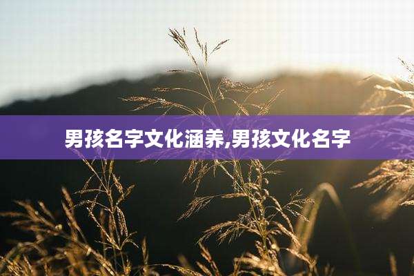 男孩名字文化涵养,男孩文化名字