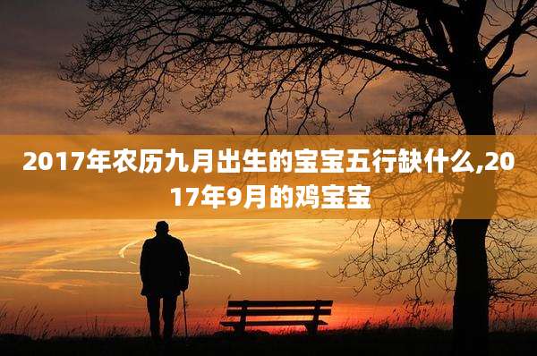 2017年农历九月出生的宝宝五行缺什么,2017年9月的鸡宝宝