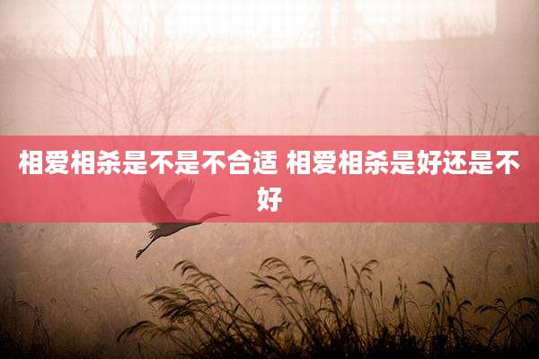 相爱相杀是不是不合适 相爱相杀是好还是不好