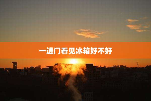 一进门看见冰箱好不好