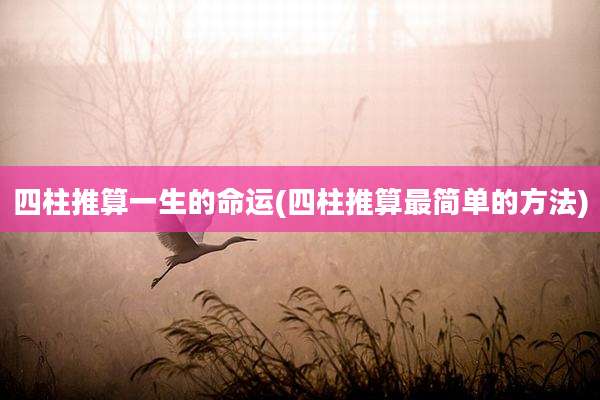 四柱推算一生的命运(四柱推算最简单的方法)