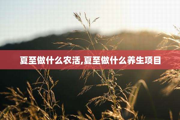 夏至做什么农活,夏至做什么养生项目