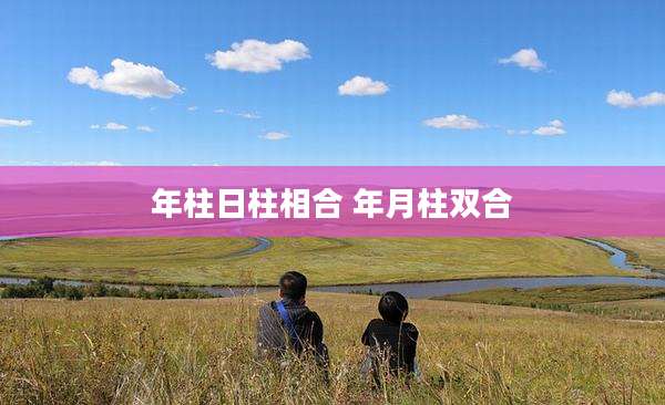 年柱日柱相合 年月柱双合