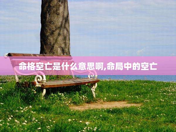 命格空亡是什么意思啊,命局中的空亡