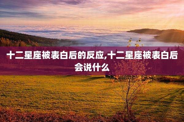 十二星座被表白后的反应,十二星座被表白后会说什么