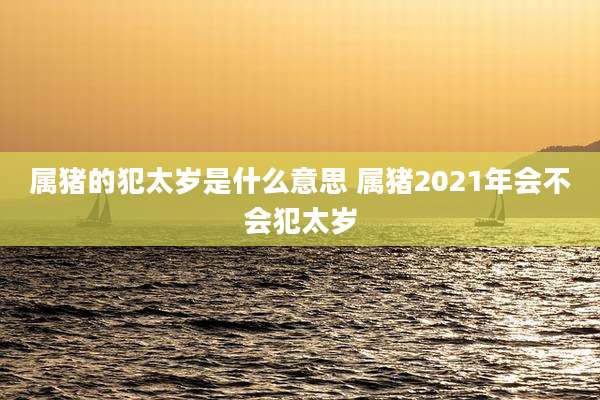 属猪的犯太岁是什么意思 属猪2021年会不会犯太岁