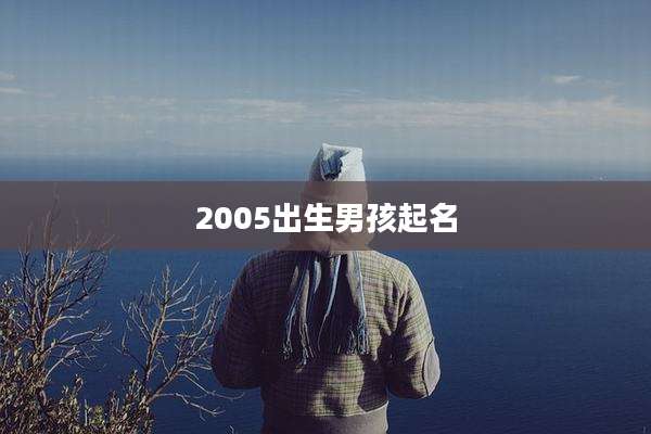 2005出生男孩起名