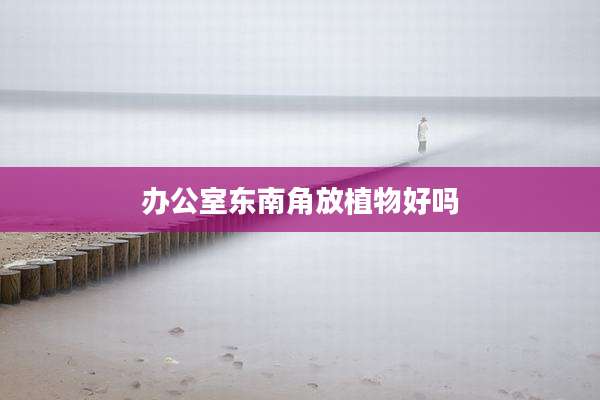 办公室东南角放植物好吗
