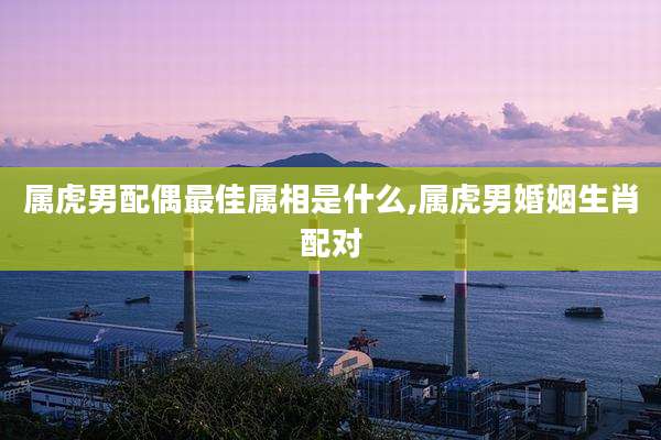 属虎男配偶最佳属相是什么,属虎男婚姻生肖配对