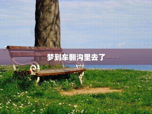 梦到车翻沟里去了