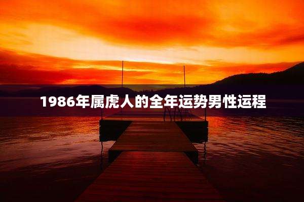 1986年属虎人的全年运势男性运程