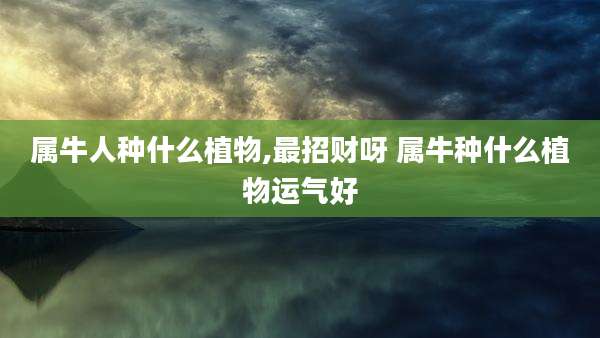 属牛人种什么植物,最招财呀 属牛种什么植物运气好