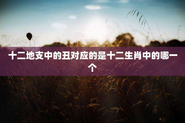 十二地支中的丑对应的是十二生肖中的哪一个