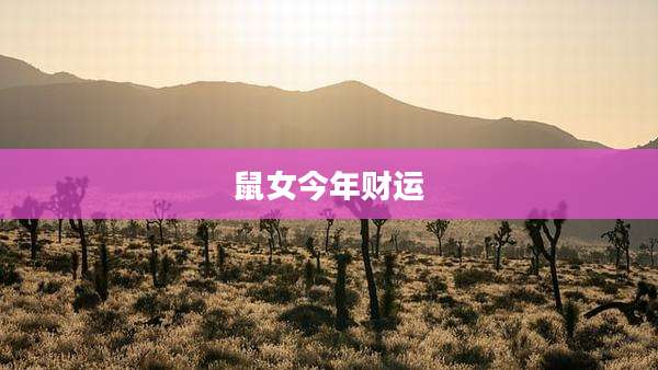 鼠女今年财运