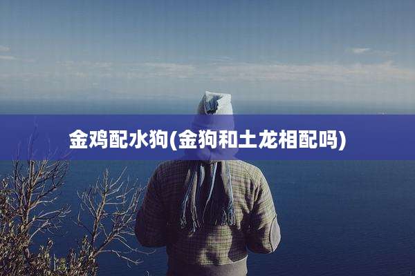 金鸡配水狗(金狗和土龙相配吗)