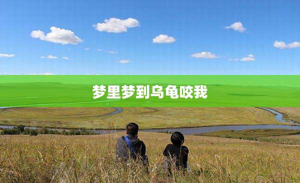 梦里梦到乌龟咬我