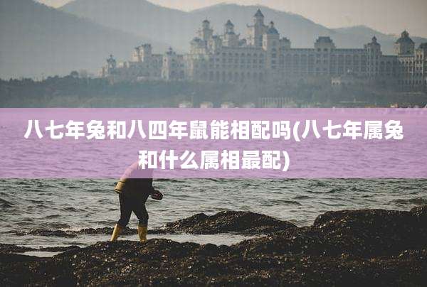 八七年兔和八四年鼠能相配吗(八七年属兔和什么属相最配)