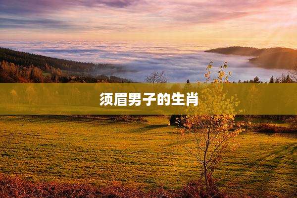 须眉男子的生肖