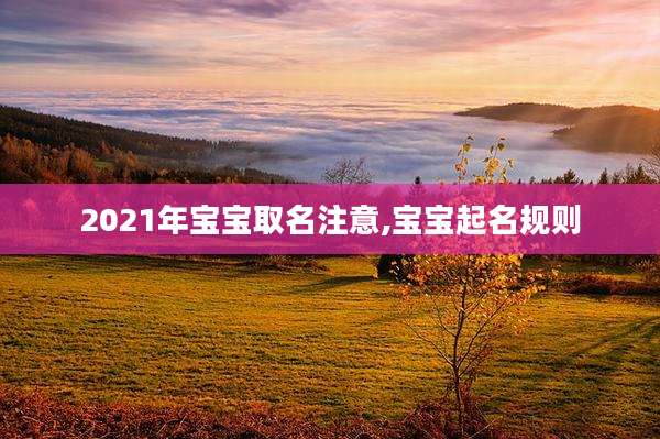 2021年宝宝取名注意,宝宝起名规则