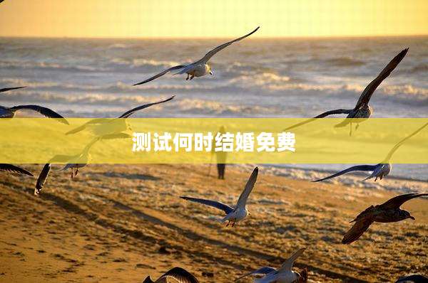 测试何时结婚免费