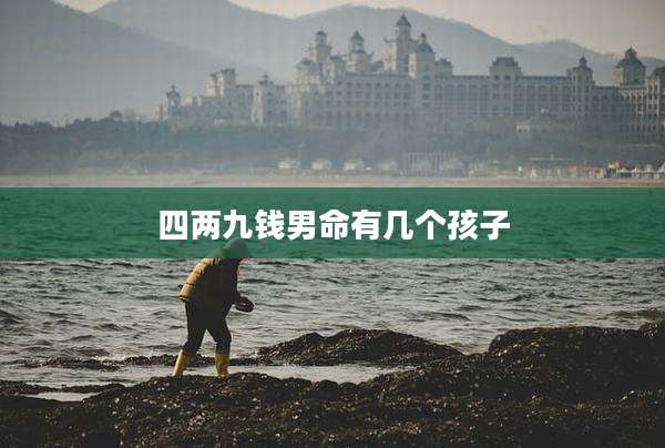 四两九钱男命有几个孩子