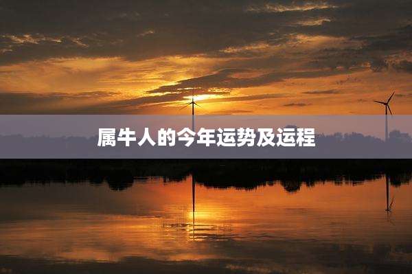 属牛人的今年运势及运程