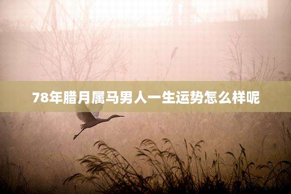 78年腊月属马男人一生运势怎么样呢