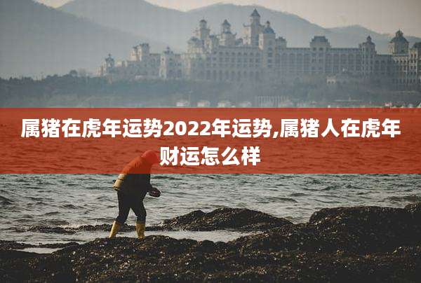 属猪在虎年运势2022年运势,属猪人在虎年财运怎么样