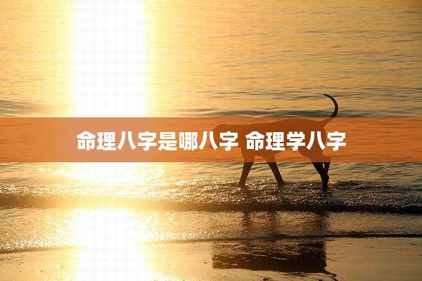 命理八字是哪八字 命理学八字