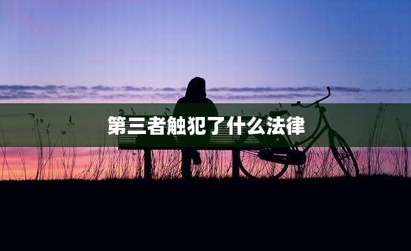 第三者触犯了什么法律