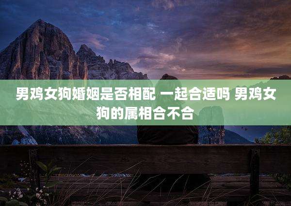 男鸡女狗婚姻是否相配 一起合适吗 男鸡女狗的属相合不合