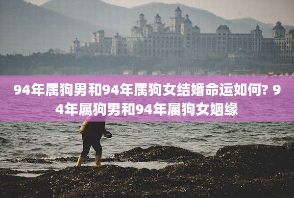 94年属狗男和94年属狗女结婚命运如何? 94年属狗男和94年属狗女姻缘
