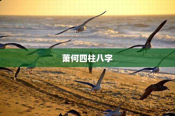 萧何四柱八字