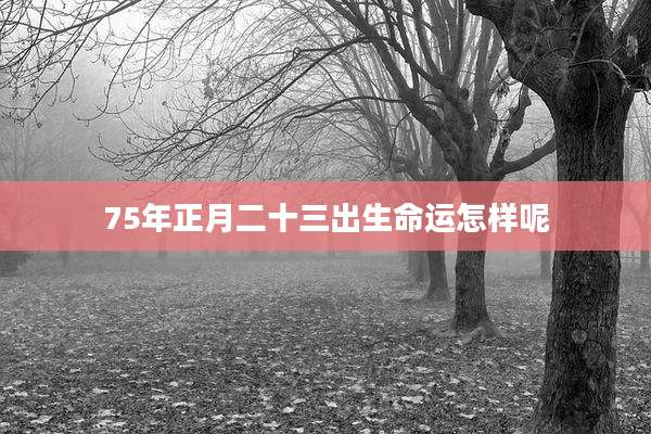 75年正月二十三出生命运怎样呢
