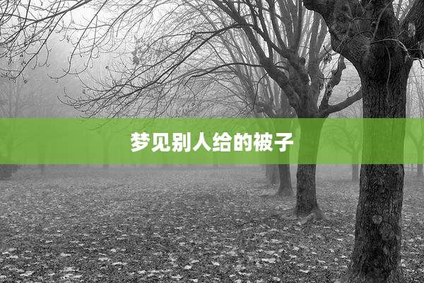 梦见别人给的被子