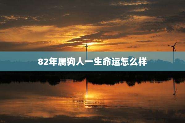 82年属狗人一生命运怎么样