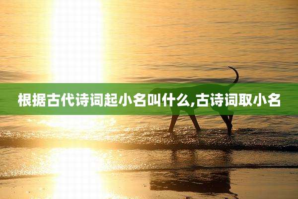 根据古代诗词起小名叫什么,古诗词取小名