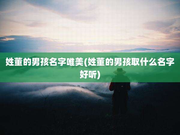 姓董的男孩名字唯美(姓董的男孩取什么名字好听)