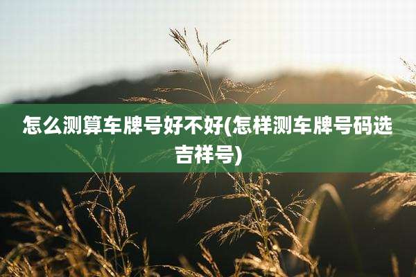 怎么测算车牌号好不好(怎样测车牌号码选吉祥号)