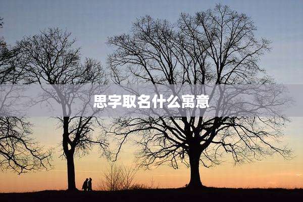 思字取名什么寓意
