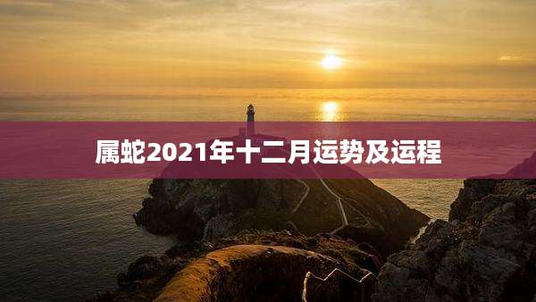 属蛇2021年十二月运势及运程