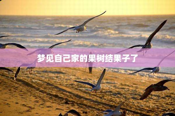 梦见自己家的果树结果子了