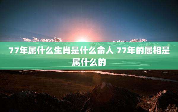 77年属什么生肖是什么命人 77年的属相是属什么的